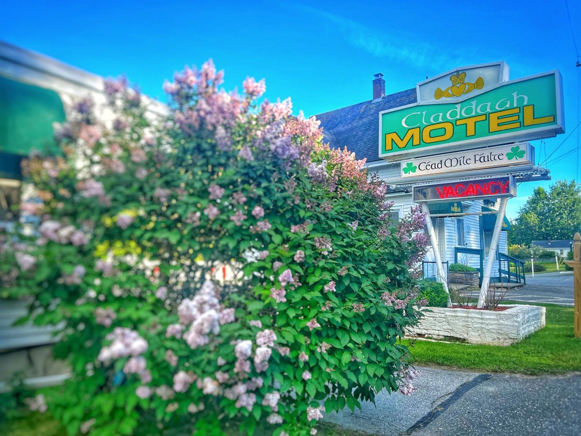 Claddagh Motel & Suites ロックポート エクステリア 写真